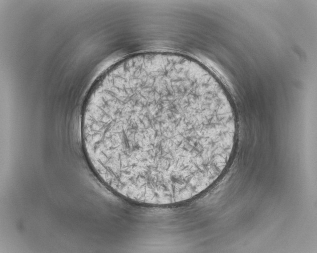 X0000114091238200911161030