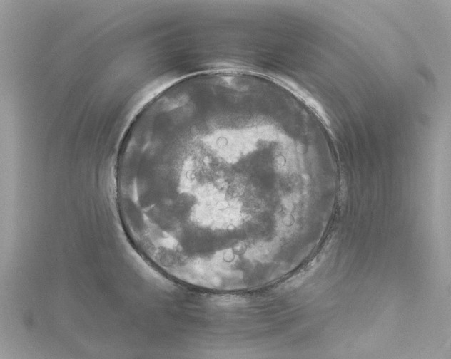 X0000114091239200911161030