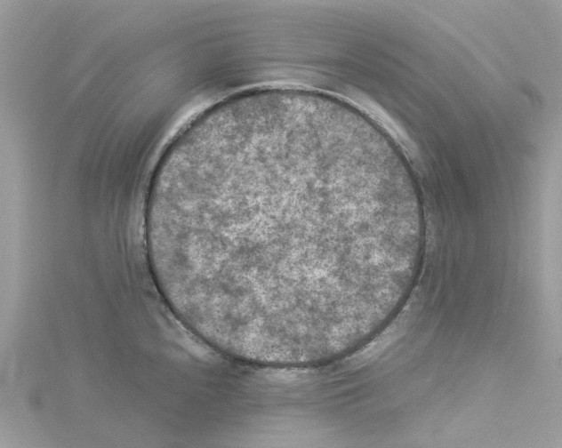 X0000114091240200911161030