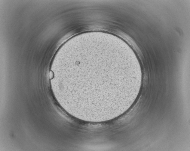 X0000114091242200911161030