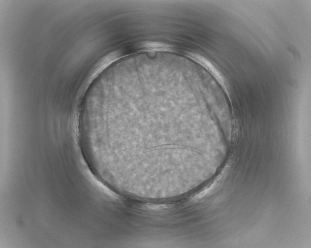 X0000114091243200911161030