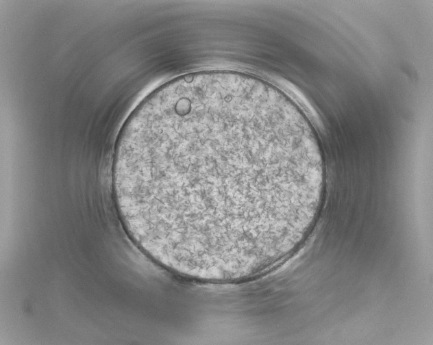 X0000114091244200911161030