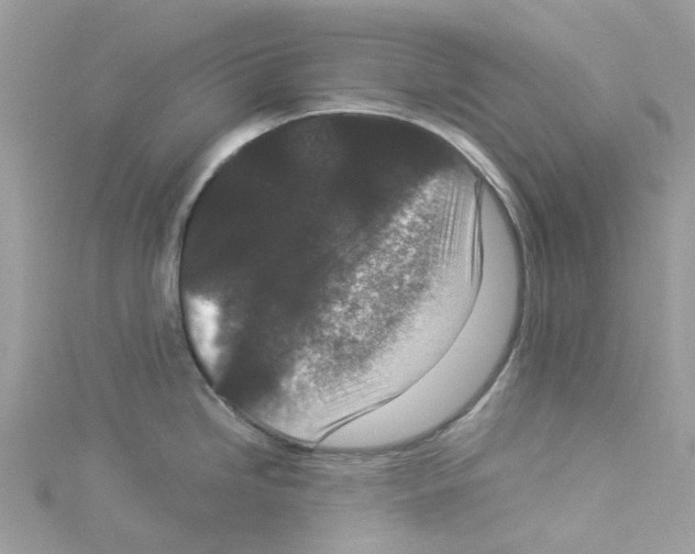 X0000114091246200911161030