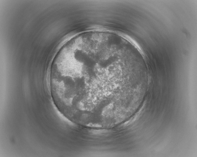 X0000114091247200911161030