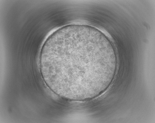 X0000114091248200911161030