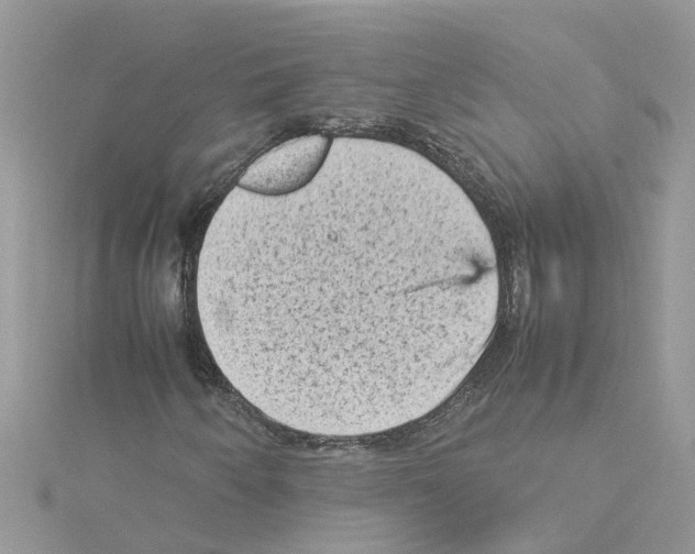 X0000114091250200911161030