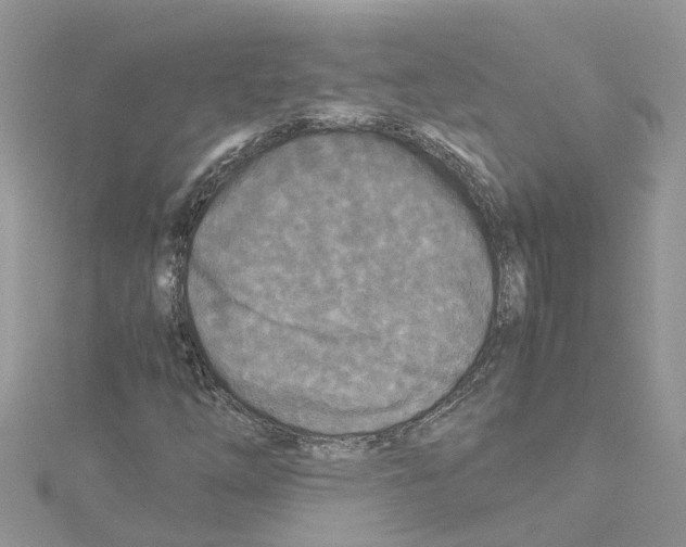 X0000114091254200911161029