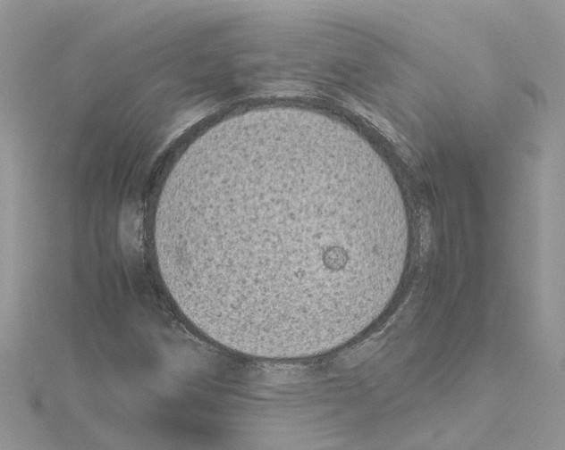 X0000114091258200911161029