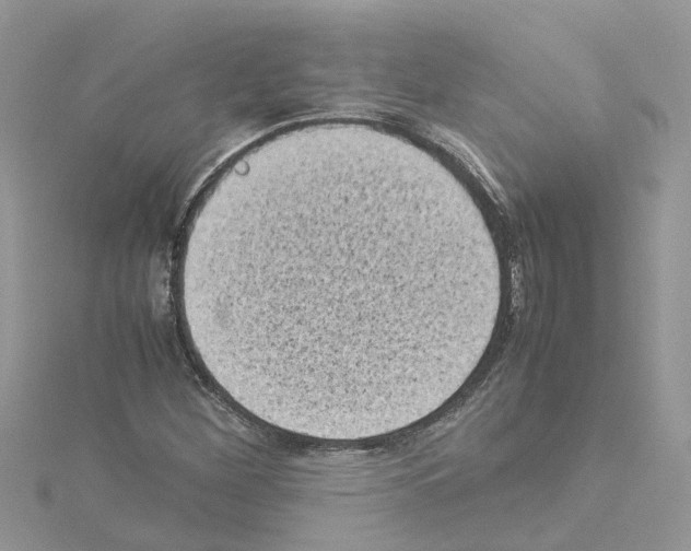 X0000114091260200911161029