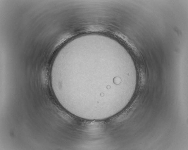 X0000114091266200911161029