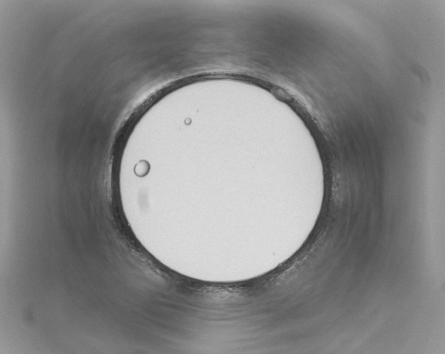 X0000114091270200911161029