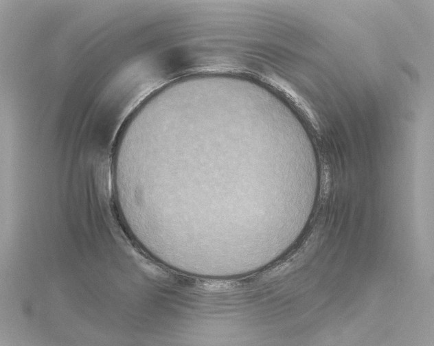 X0000114091274200911161029