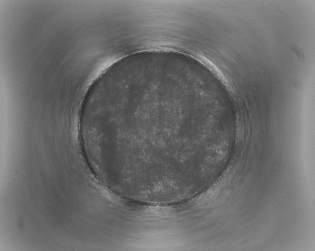 X0000114091277200911161029