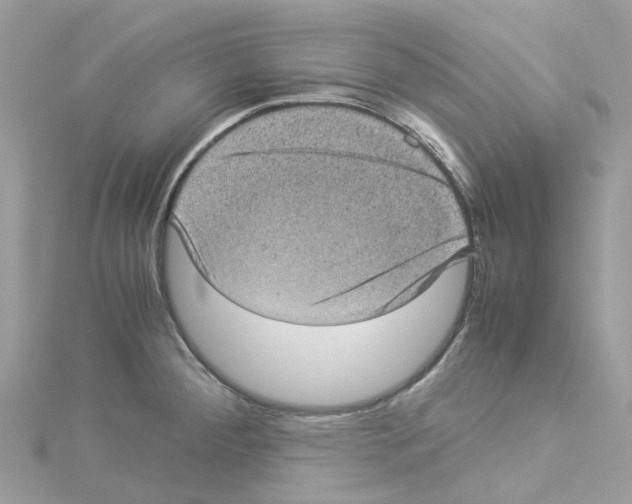 X0000114091284200911161029