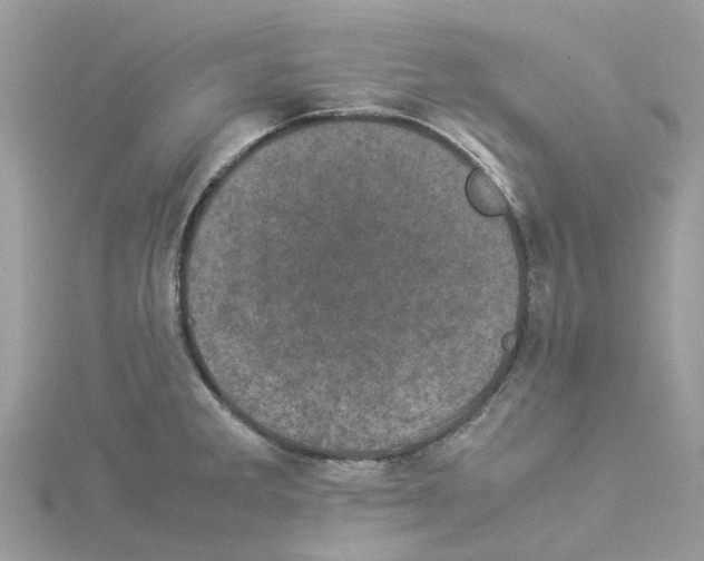 X0000114091285200911161029