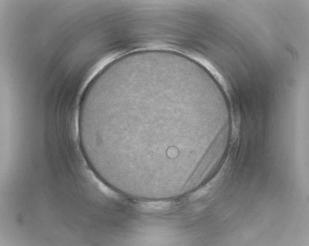 X0000114091294200911161029