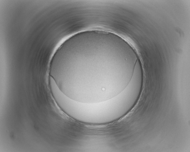 X0000114091296200911161029