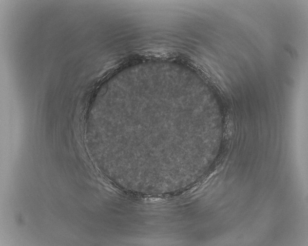 X0000114091297200911161028