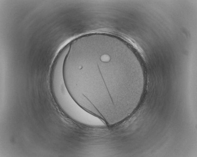 X0000114091316200911161029