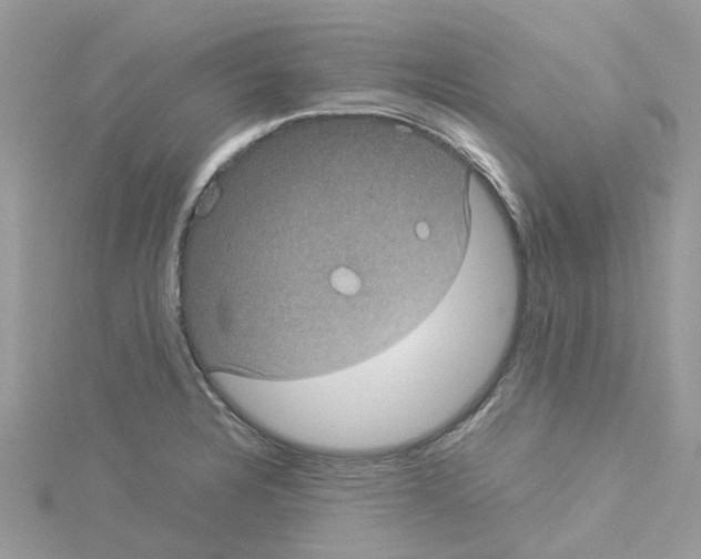 X0000114091328200911161029