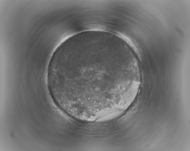 X0000114091331200911161029