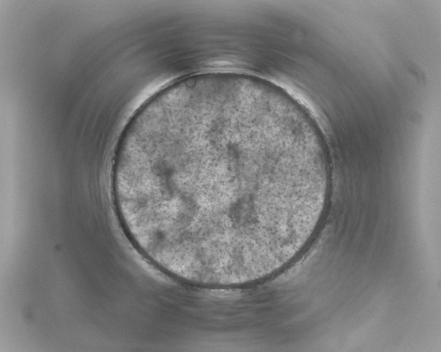 X0000114091333200911161029