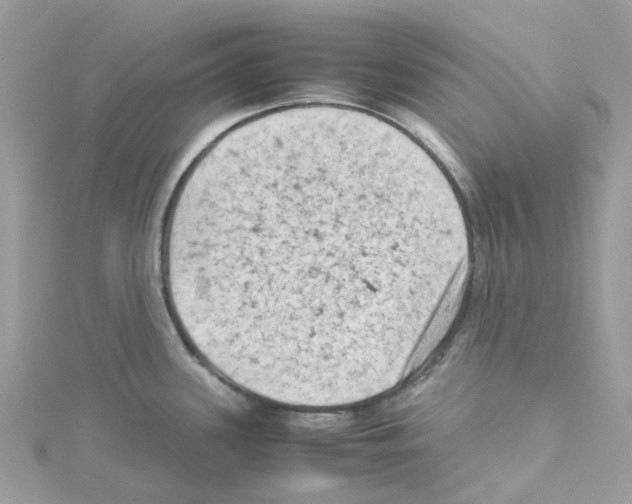 X0000114091339200911161029