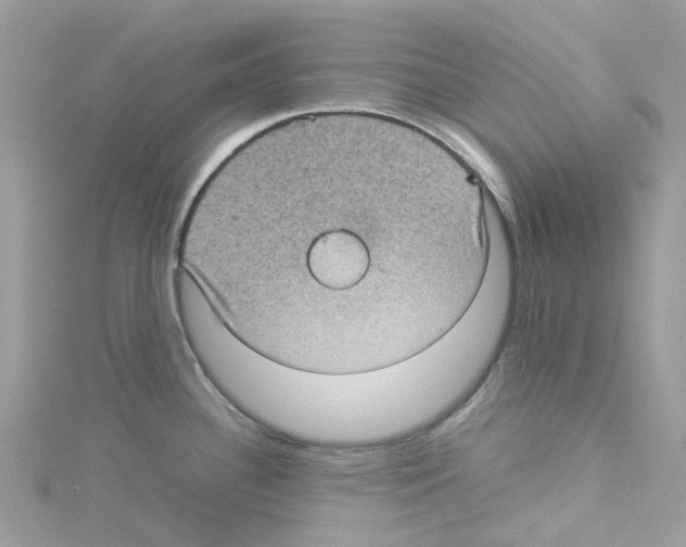 X0000114091340200911161029