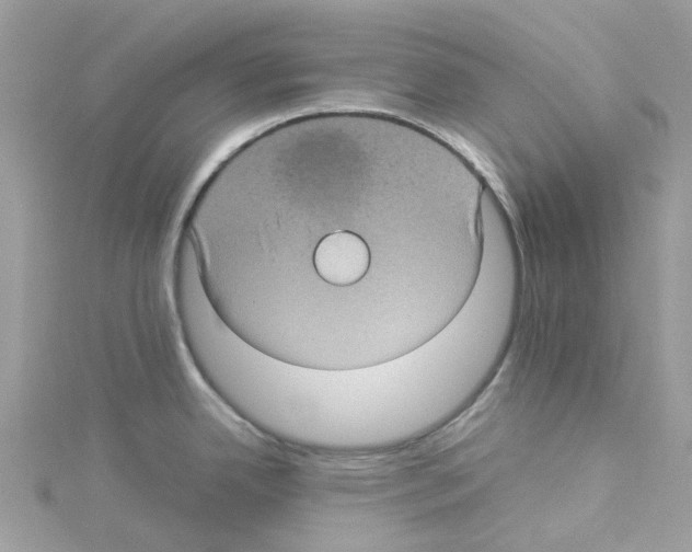 X0000114091342200911161029