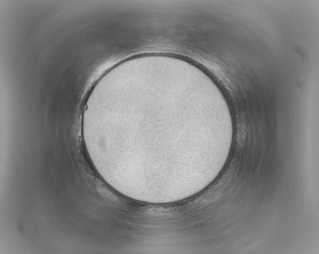 X0000114091366200911161028