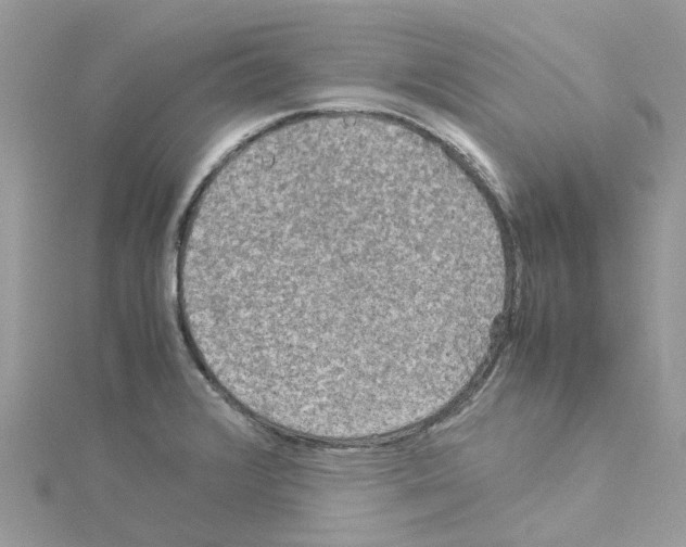 X0000114091376200911161028