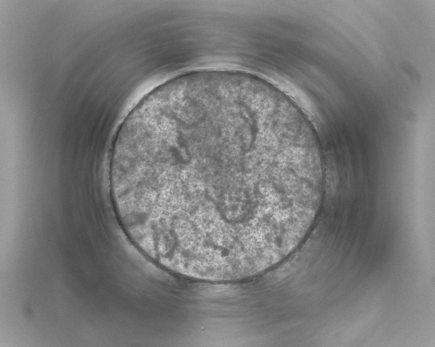 X0000114091382200911161028