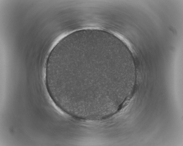 X0000114091383200911161028