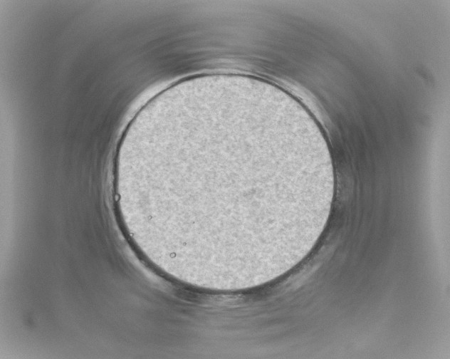 X0000114091387200911161028
