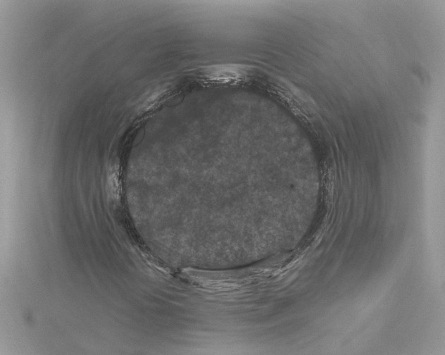 X0000114091394200911161027