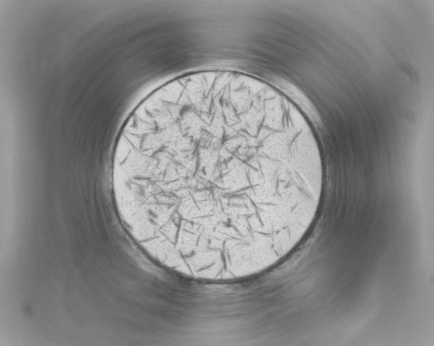 X0000114091436200911161028