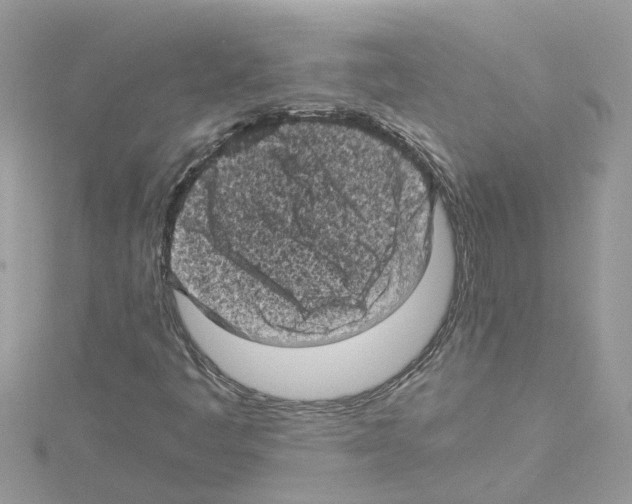 X0000114091445200911161027