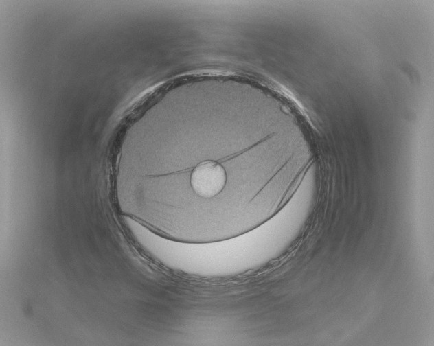 X0000114091448200911161027
