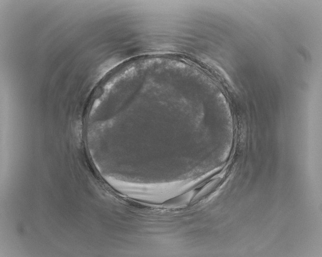 X0000114091457200911161027