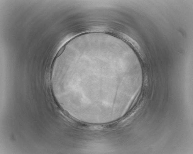 X0000114091473200911161027