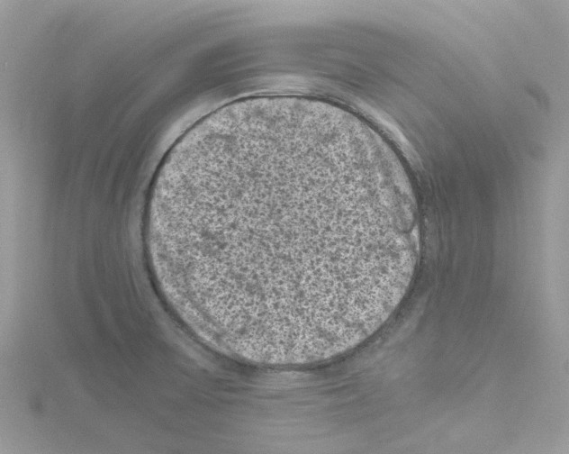 X0000114091475200911161027