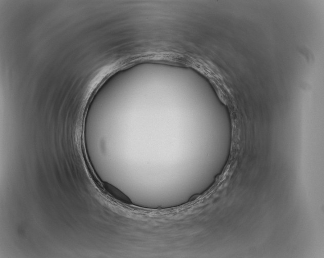 X0000114100003200910051240