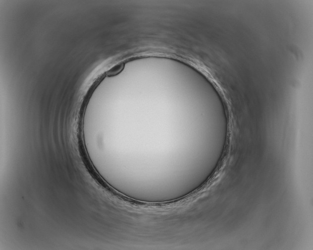 X0000114100007200910051240