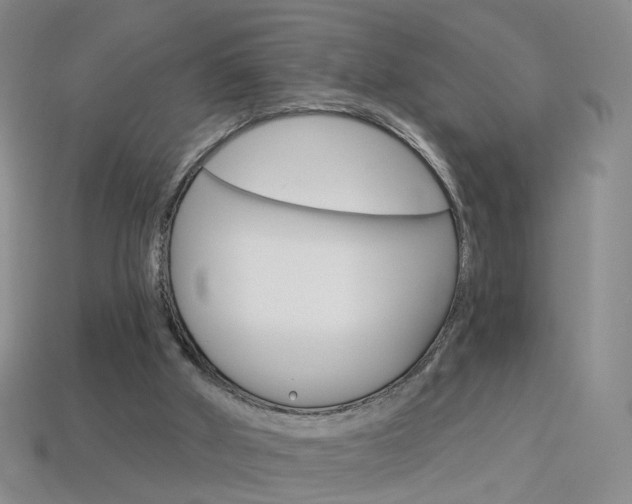 X0000114100010200910051240