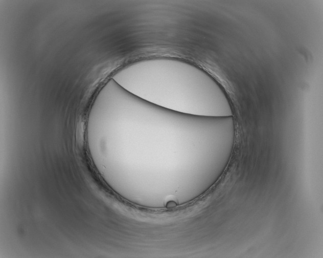 X0000114100014200910051240