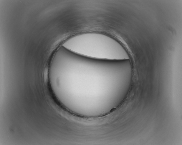 X0000114100019200910051240