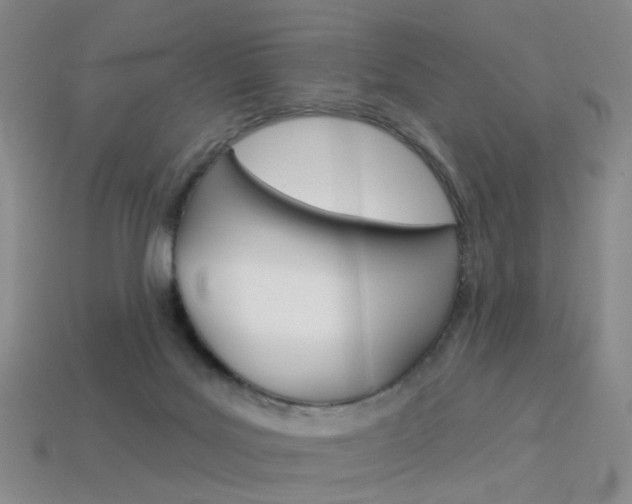 X0000114100027200910051240