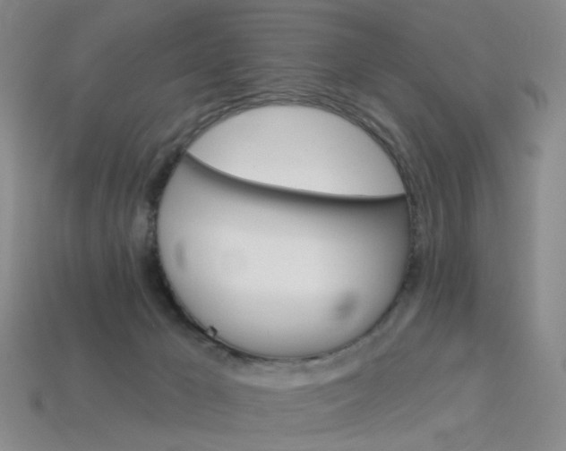 X0000114100029200910051240