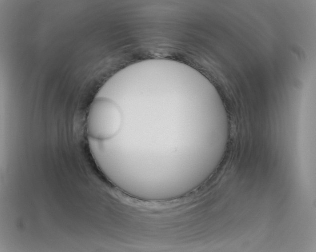 X0000114100030200910051240