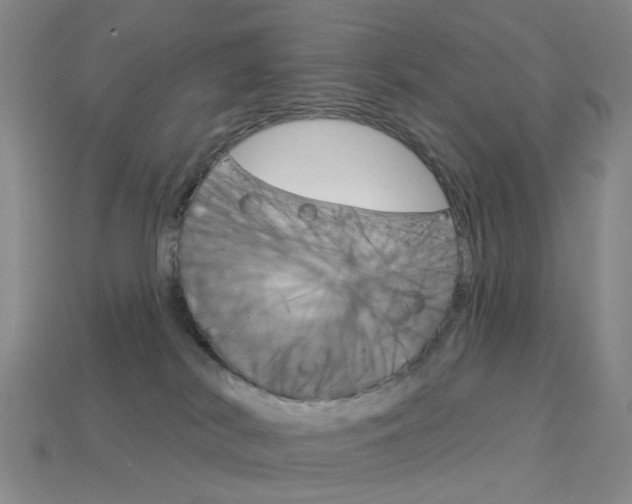 X0000114100038200910051240